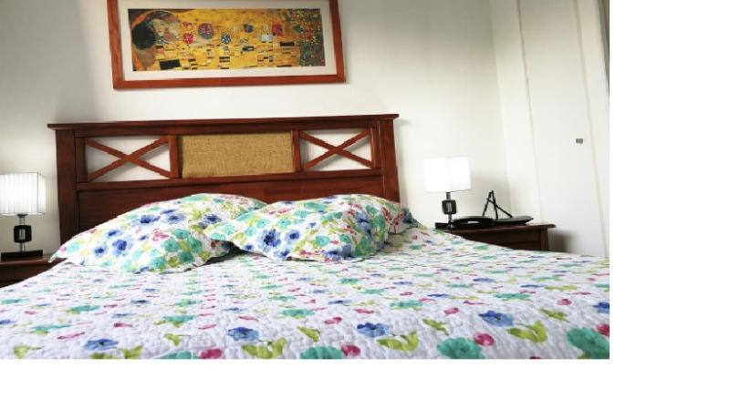 Apartmán Plaza Paris Amistar Santiago de Chile Exteriér fotografie